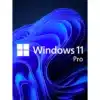 Windows 11 Professional OEM Key
