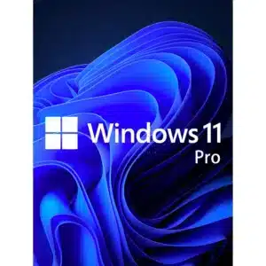 Windows 11 Professional OEM Key